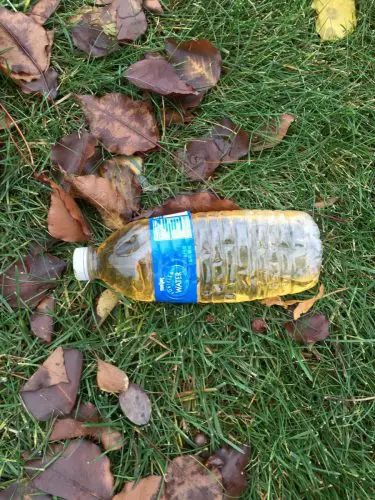 Bottle of Pee